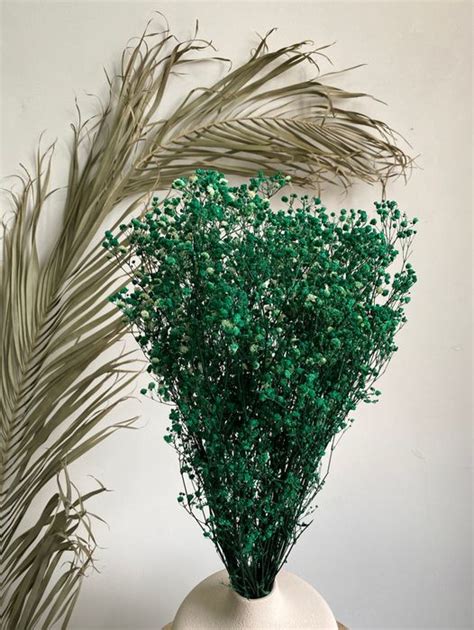 Стабилизированные цветы и зелень – купить в магазине | Сухоцветы ...