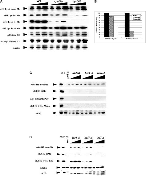 Molecular Regulation Of Histone H3 Trimethylation By Compass And The