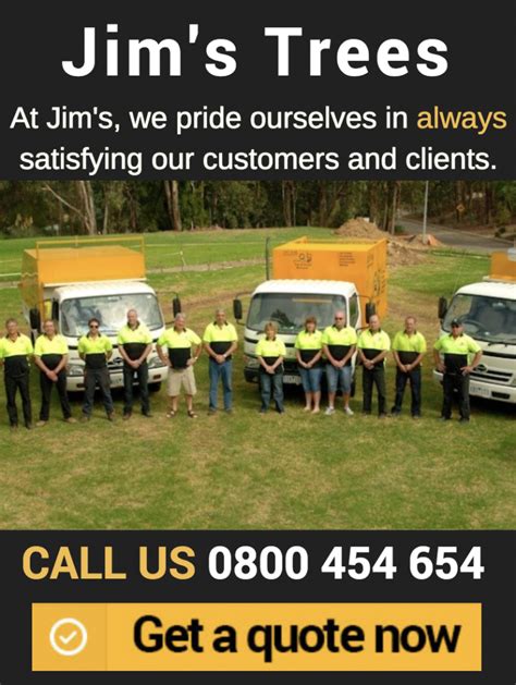 Jims Trees Nz Tree And Stump Removal Services