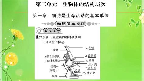 《掌控中考》2016年中考生物广西玉林地区知识系统复习：第二单元 生物体的结构层次共69张pptword文档在线阅读与下载无忧文档