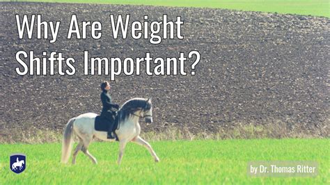 weight shifts important ritter dressage