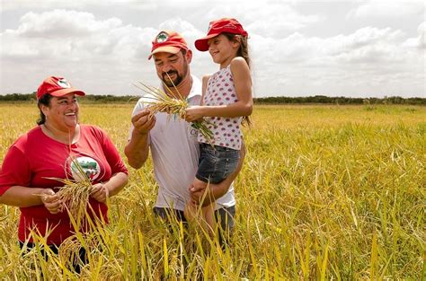 Coisas Que Voc Precisa Saber Sobre O Mst Mst