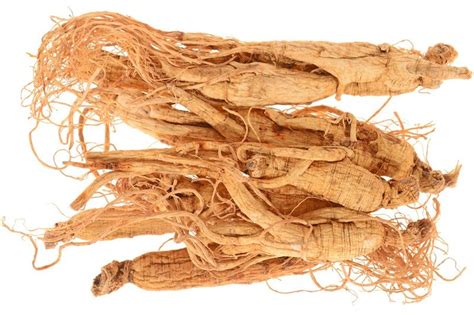 5 Positive Effects and Side Effects of Ginseng - Xi'an SR Bio ...