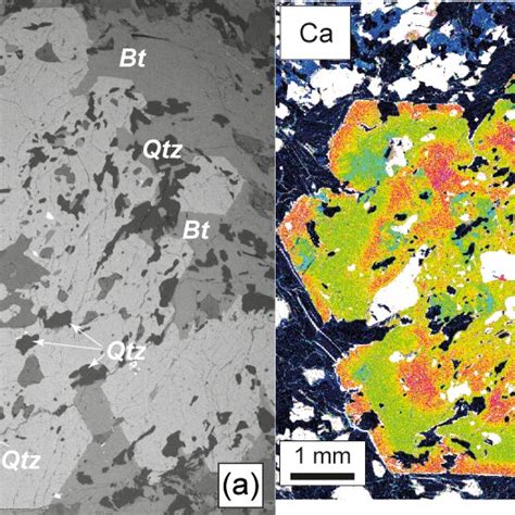 Thin Section Photomicrographs Of A B Poikilitic Amphibole Enclosing