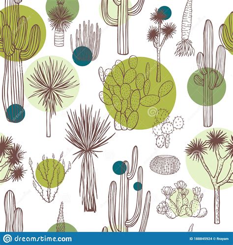 Desert Plants Cacti Vector Seamless Pattern Stock Vector Illustration Of Abstract Drawn