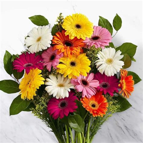 Mixed Gerbera Bunch Order Flowers Online Interflora India Id