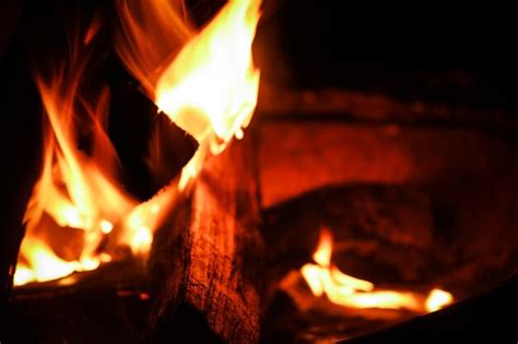 Premium Photo | Campfire with burning wood in the forest