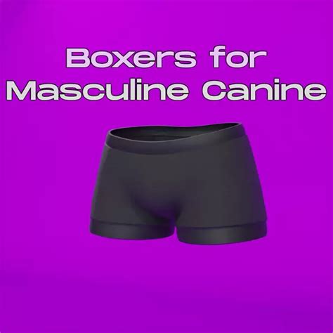 Vrchat Boxers For Masculine Canine By Bino Vrcarena
