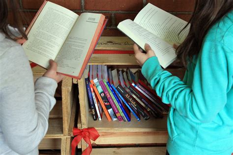 Alunos Criam Biblioteca M Vel Para A Feira De Ci Ncias Col Gio