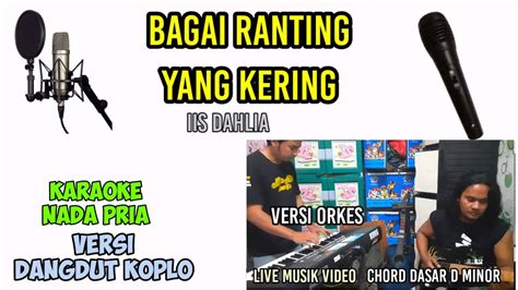 Ranting Yang Kering Karaoke Koplo Nada Pria Youtube