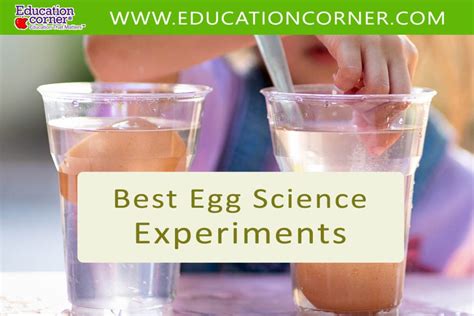 16 Best Egg Science Experiments Education Corner