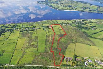 property  sale  wicklow county daftie