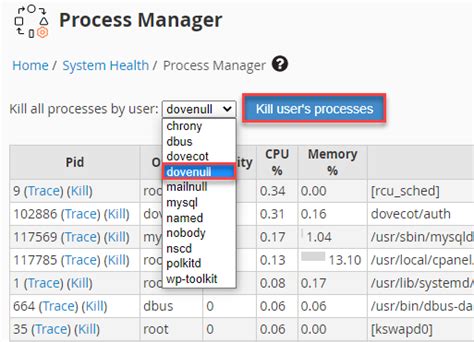 How To View The Currently Running Processes On The Servers Whuk