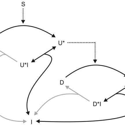 Lomitapide Mechanism Of Action MTTP Inhibition And Down Regulation