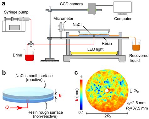 We Perform Flowthrough Dissolution Experiments In Radial Cells