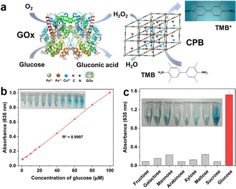 Detection Of Glucose With GOx CPB A Cascade Reaction Based On GOx CPB