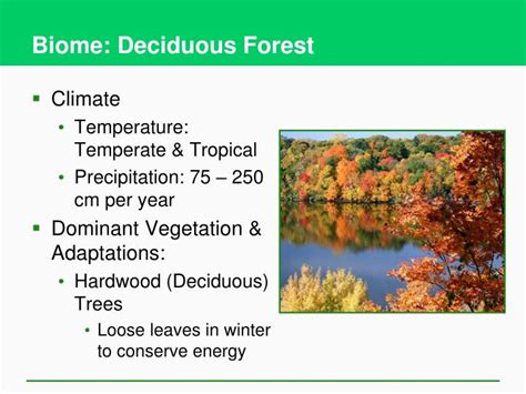 Ppt 7 2 How Does Climate Affect The Nature And Locations Of Biomes