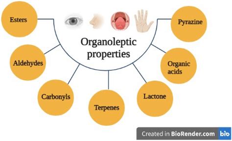 Factors Responsible For Organoleptic Properties Download Scientific