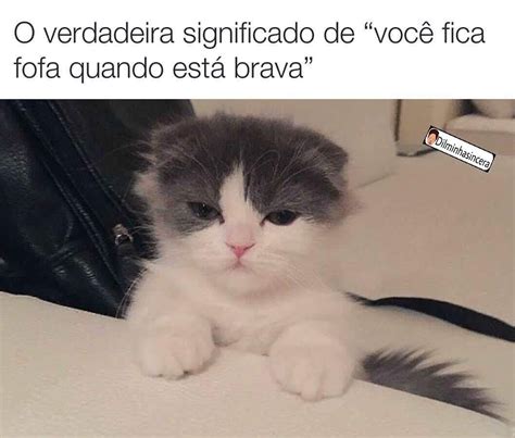 O Verdadeiro Significado De Voc Fica Fofa Quando Est Brava Memes