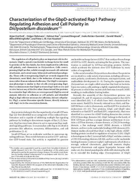 Pdf Characterization Of The Gbpd Activated Rap1 Pathway Regulating