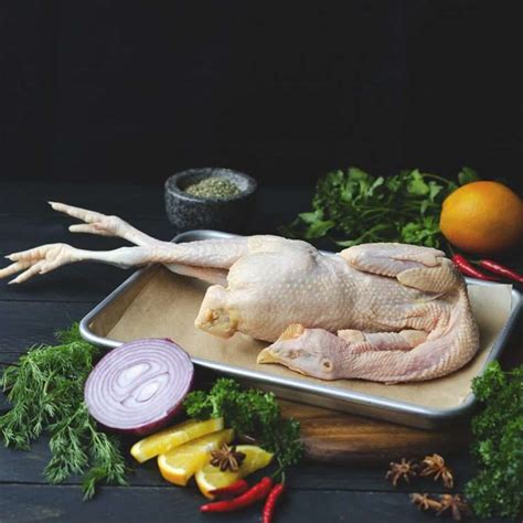Buy Loong Kong Chicken Male 龍崗走地雞（公雞