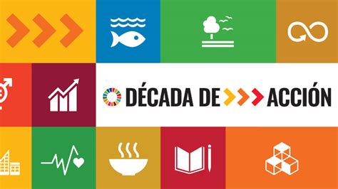 D Cada De Acci N Para Los Ods Youth Employment Decade