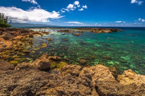 The Ultimate Guide To Sharks Cove Oahu Snorkeling Beaches And More