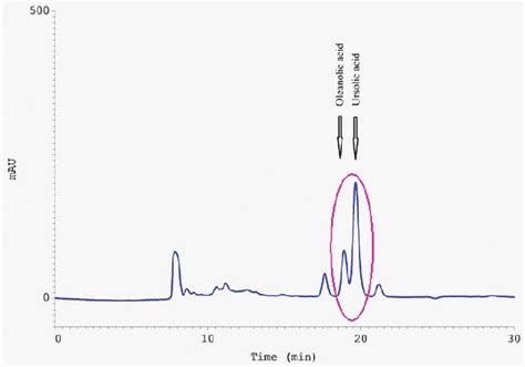 Hplc Chromatogram Of The Ethyl Acetate Extract Sfea From Elderberries Download Scientific