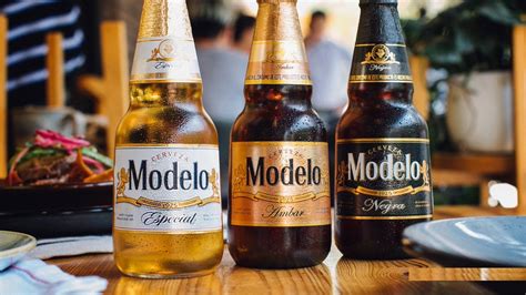 Arriba 86 Imagen Cerveza Modelo Premium Abzlocal Mx