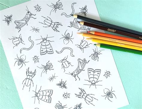 Printable CREEPY Crawlers/bugs Coloring Page Digital File Instant Download Spider, Ant, Moth ...