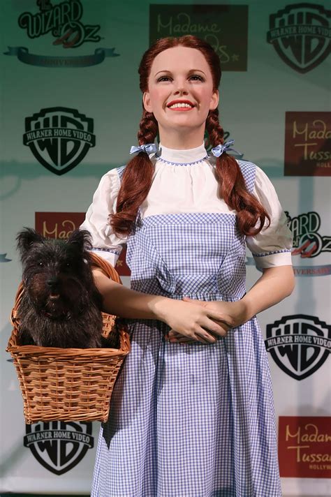 Dorothy From Wizard Of Oz Hairstyle