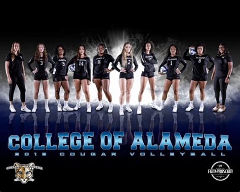 Womens Volleyball Archive College Of Alameda