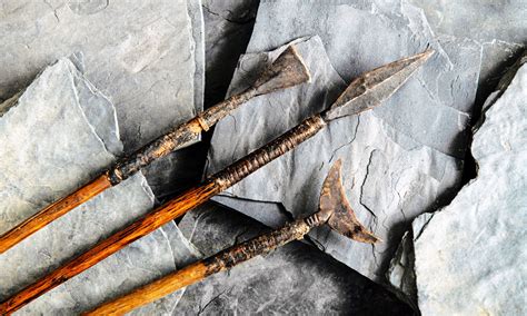 400,000-year-old stone tools show technological adaptations - Earth.com