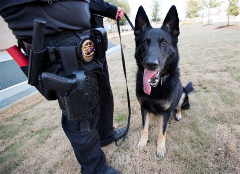 K 9 Unit Police