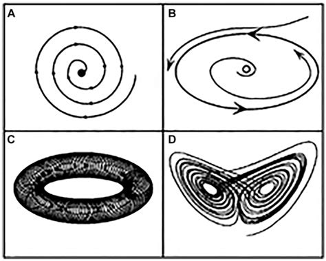 Types Of Attractors Typically Found In Nonlinear Systems A