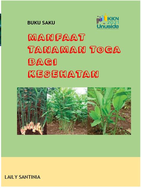 Buku Saku Manfaat Tanaman Toga Pdf