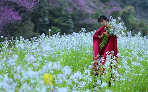 【桃花节】骑马踏青，取花为食，才不辜负春日好时节——上巳节 李子柒 李子柒 哔哩哔哩视频