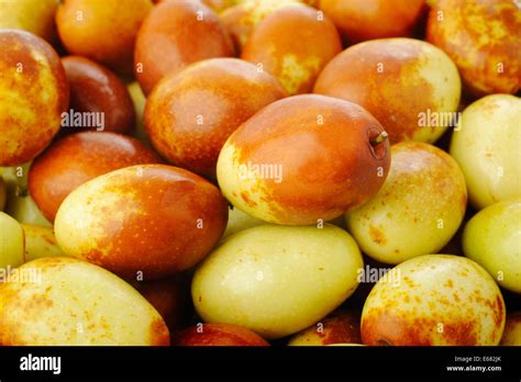 Chinese Jujubes Fruits Stock Photo Alamy