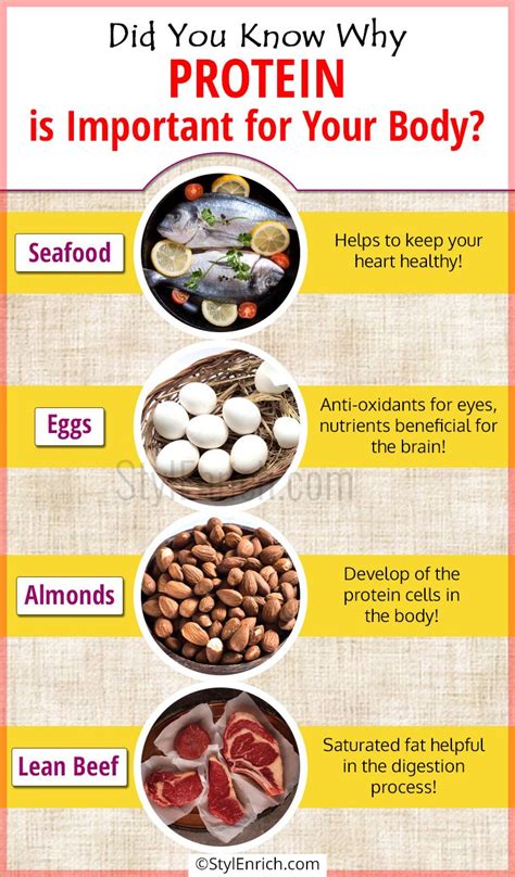 Health Benefits Of Protein Why Protein Is Important For Your Body