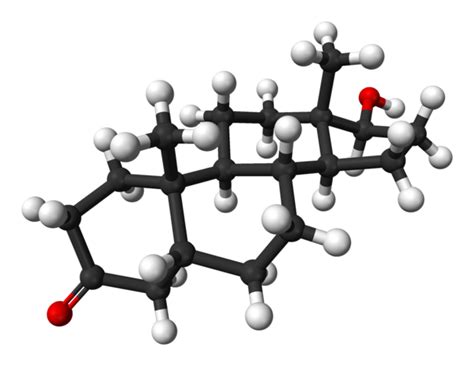 Dihydrotestosterone (DHT) - the most powerful and misunderstood male hormone? - Supplements in ...