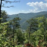 Hot Springs To Tanyard Gap Via Appalachian Trail North Carolina 340