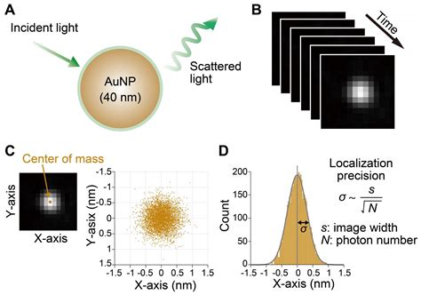 Gold Nanoparticle Microsecond Tracking With A Eurekalert