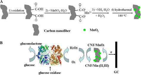 A Schematic Illustration For The Synthesis Of Mno2cnfs Nanocomposites