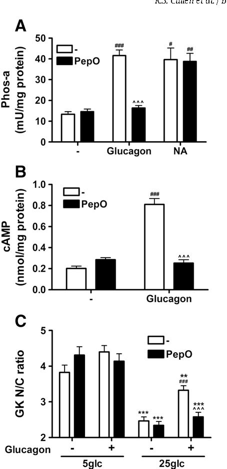 Figure 3 From Glucagon Induces Translocation Of Glucokinase From The