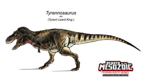 Beasts Of The Mesozoic Tyrannosaur Series Color Designs