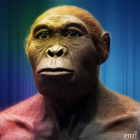 Reconstruction of Homo Habilis Homo Habilis, Evolution Science, Human ...