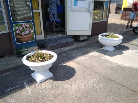 Большой вазон для выращивания цветов