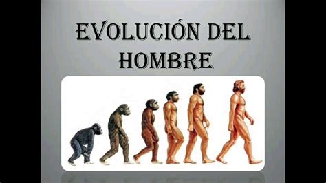 Teoria De La Evolucion