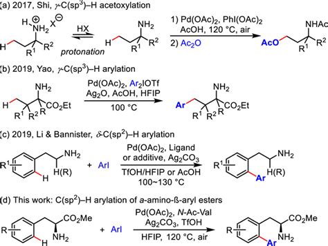 Free Amino Group Directed Csp 2 H Arylation Of α Amino β Aryl