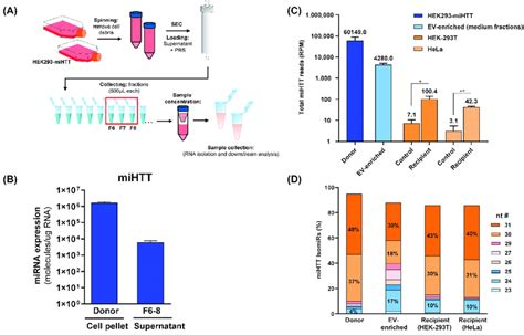 Fluorescent In Situ Hybridization Fish And Immunocytochemical Icc